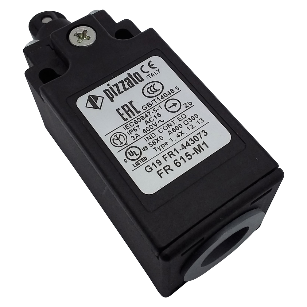 MICRORUPTEUR TENSION RUBAN