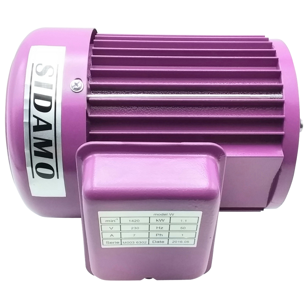 MOTEUR 220V.REP.175 POUR SCIE