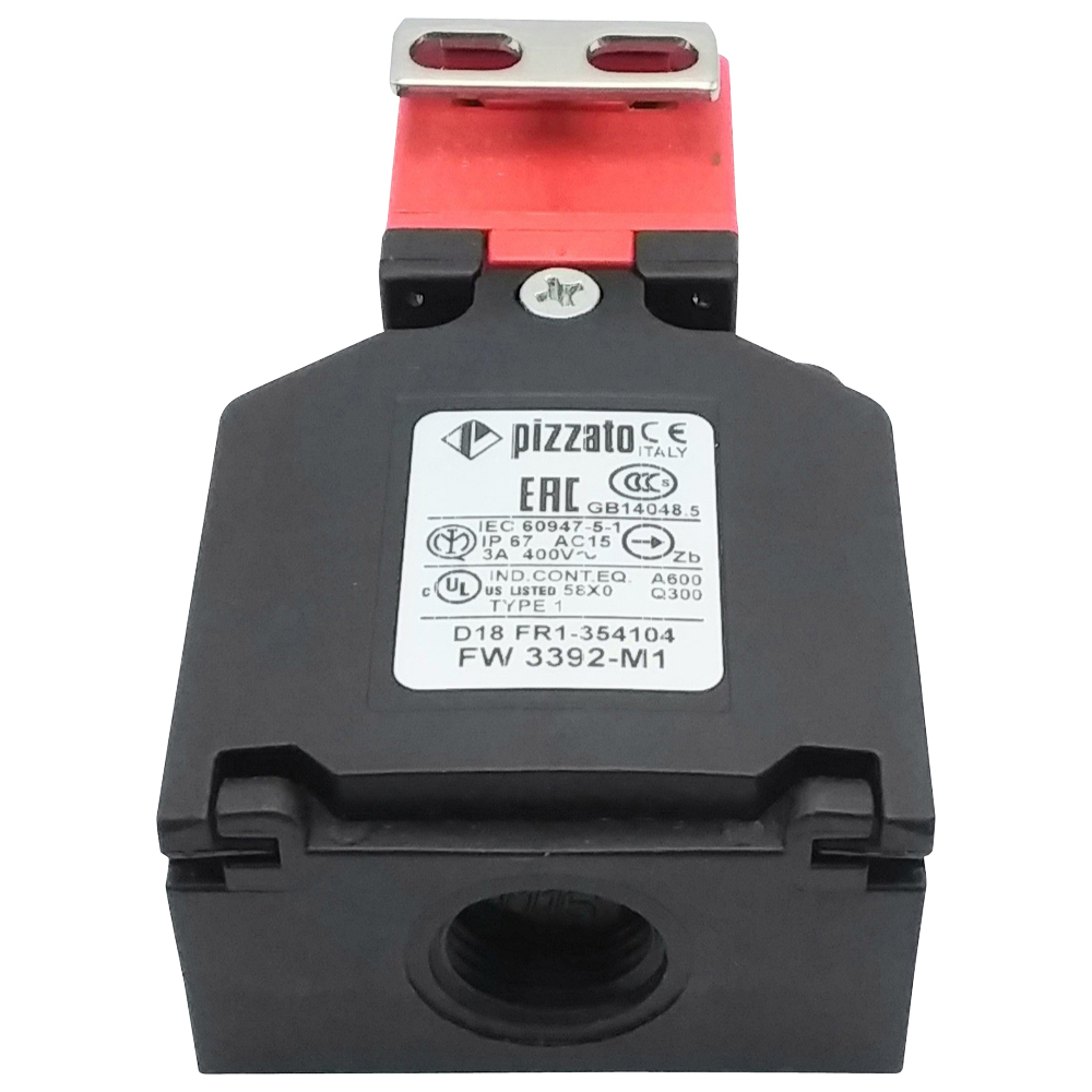 MICRORUPTEUR CARTER RUBAN