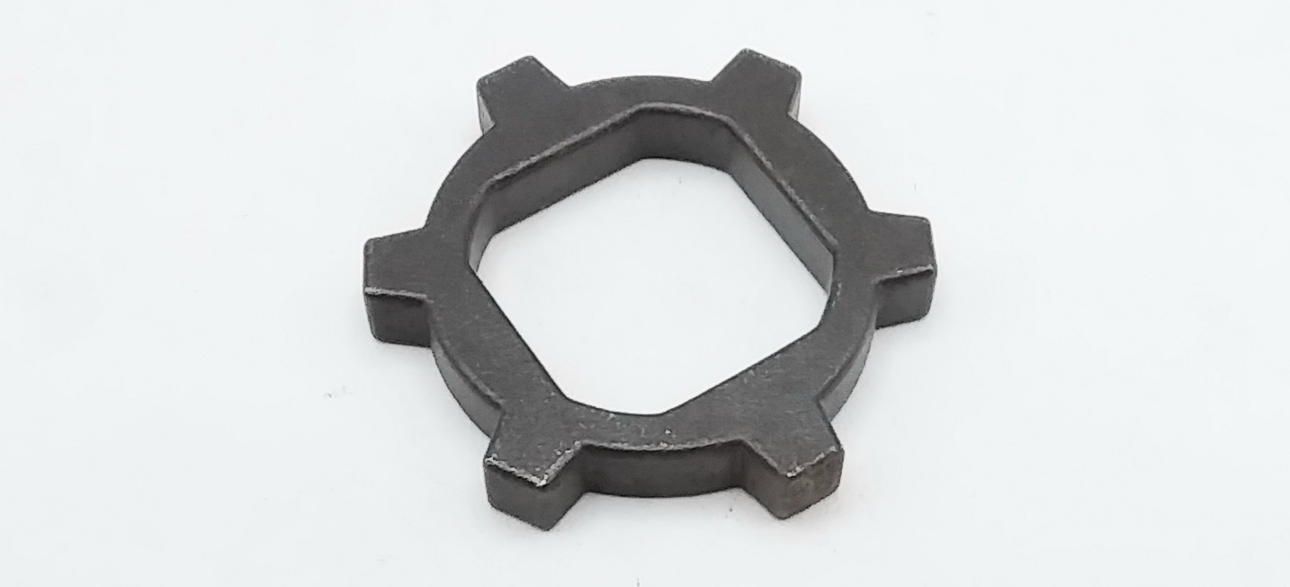 PIGNON D'ENTRAINEMENT REP.19