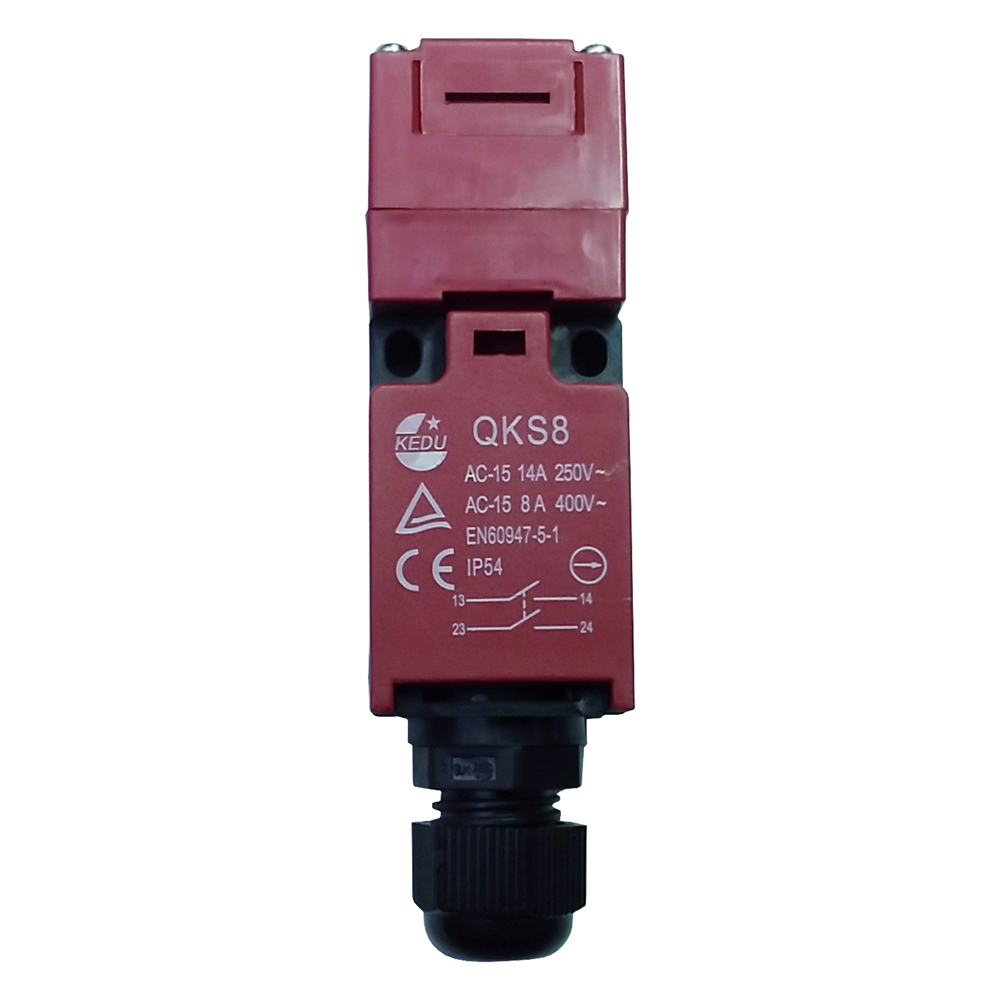 MICRORUPTEUR CAPOT-POULIES QKS8(250V 10A / VS10N)